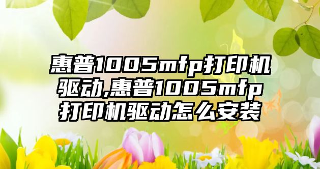 惠普1005mfp打印機(jī)驅(qū)動(dòng),惠普1005mfp打印機(jī)驅(qū)動(dòng)怎么安裝