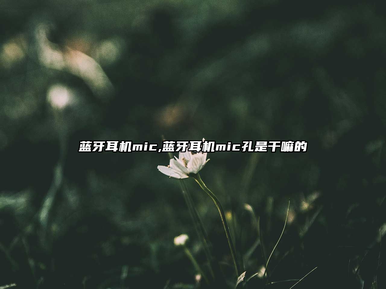 藍牙耳機mic,藍牙耳機mic孔是干嘛的