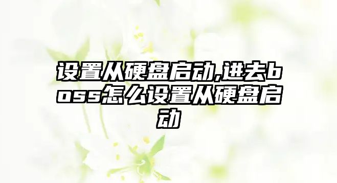 設(shè)置從硬盤啟動,進(jìn)去boss怎么設(shè)置從硬盤啟動