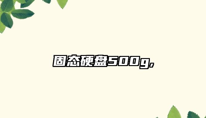 固態(tài)硬盤(pán)500g,