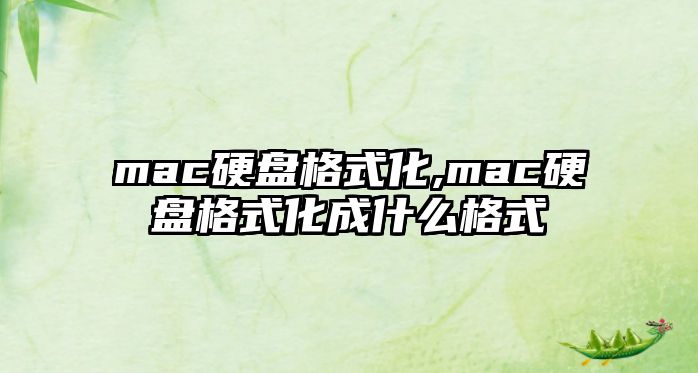 mac硬盤(pán)格式化,mac硬盤(pán)格式化成什么格式