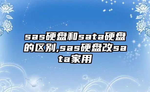 sas硬盤(pán)和sata硬盤(pán)的區(qū)別,sas硬盤(pán)改sata家用