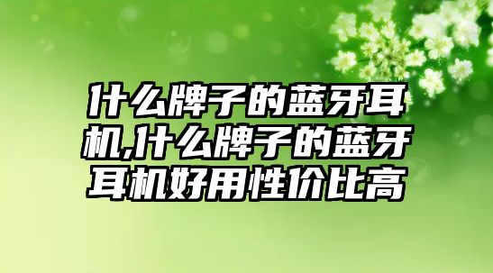 什么牌子的藍(lán)牙耳機,什么牌子的藍(lán)牙耳機好用性價比高