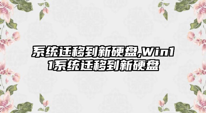 系統(tǒng)遷移到新硬盤,Win11系統(tǒng)遷移到新硬盤