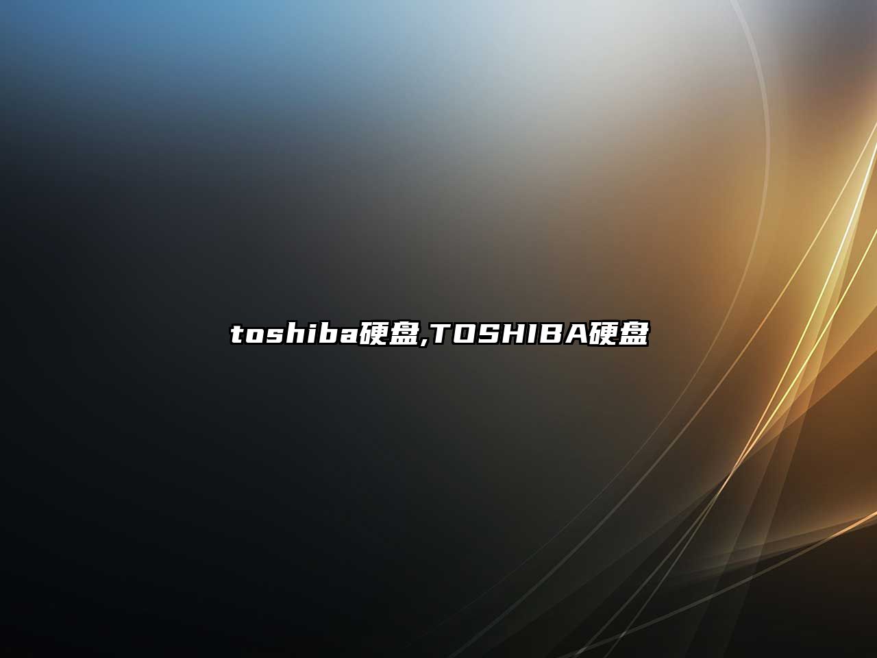 toshiba硬盤,TOSHIBA硬盤