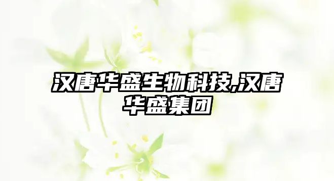 漢唐華盛生物科技,漢唐華盛集團(tuán)