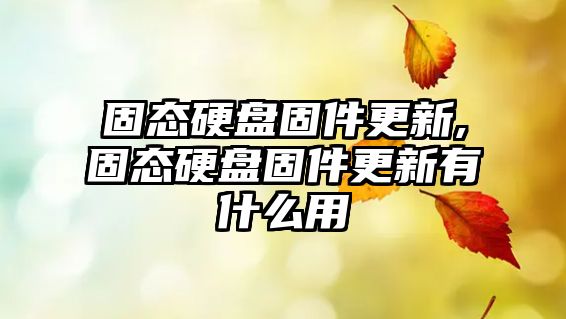 固態(tài)硬盤固件更新,固態(tài)硬盤固件更新有什么用