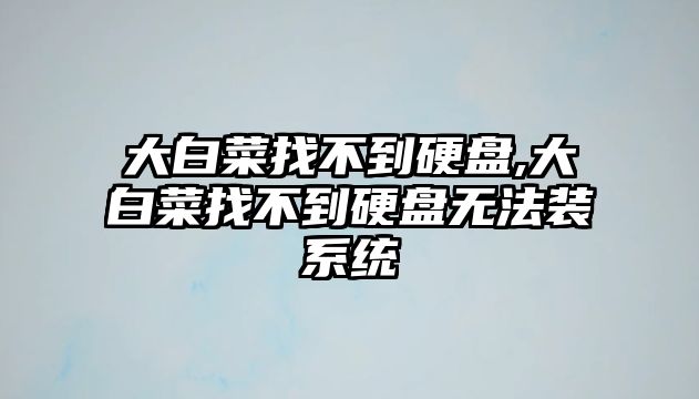 大白菜找不到硬盤,大白菜找不到硬盤無(wú)法裝系統(tǒng)