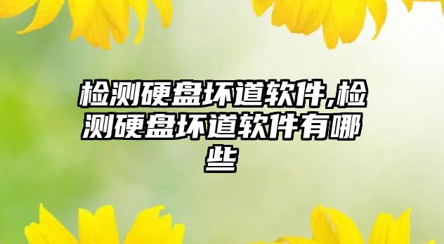 檢測硬盤壞道軟件,檢測硬盤壞道軟件有哪些