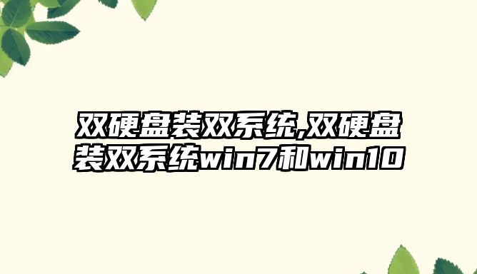 雙硬盤(pán)裝雙系統(tǒng),雙硬盤(pán)裝雙系統(tǒng)win7和win10